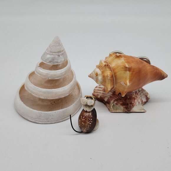 Unique Shell Figurine Set With Googly Eyes & Spiral Cone Decor Tectus Pyramis - Picture 6 of 7